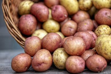 В России могут ввести картофель экономкласса