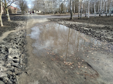 Тамбовчане жалуются на грязевой тротуар в парке