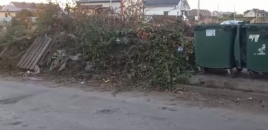 В Тамбове тротуарную дорожку засыпали мусором