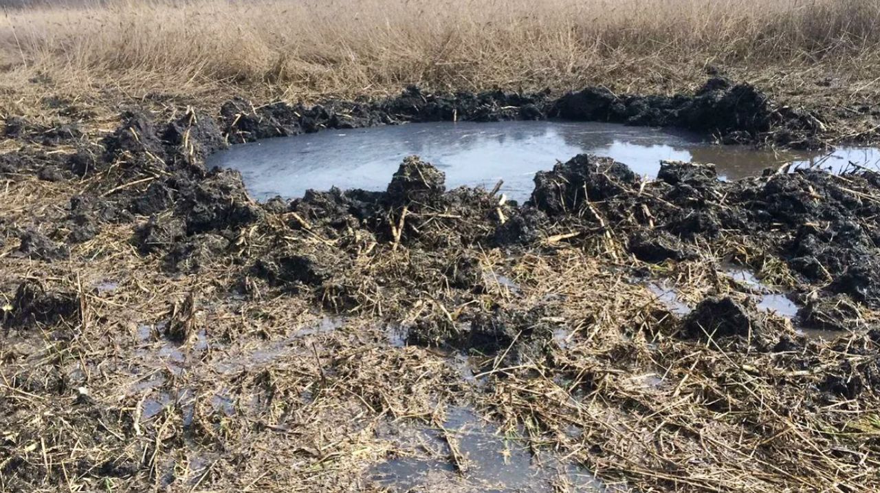 В Болоте Плачет А Из Болота Не Идет