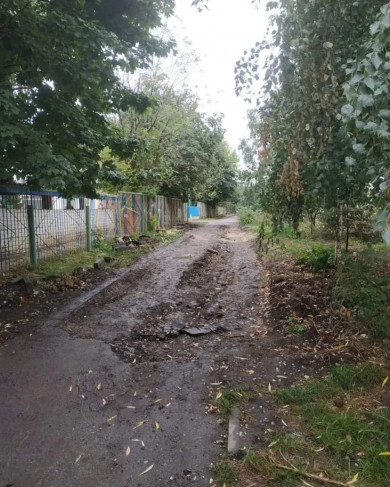 Тамбовчане: «Дети идут в сад по грязи по колено!»