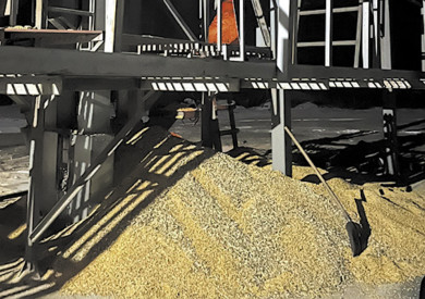 В Сосновском районе рабочих насмерть засыпало кукурузой