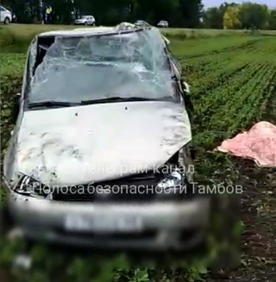 В Тамбовской области в аварии погиб человек 