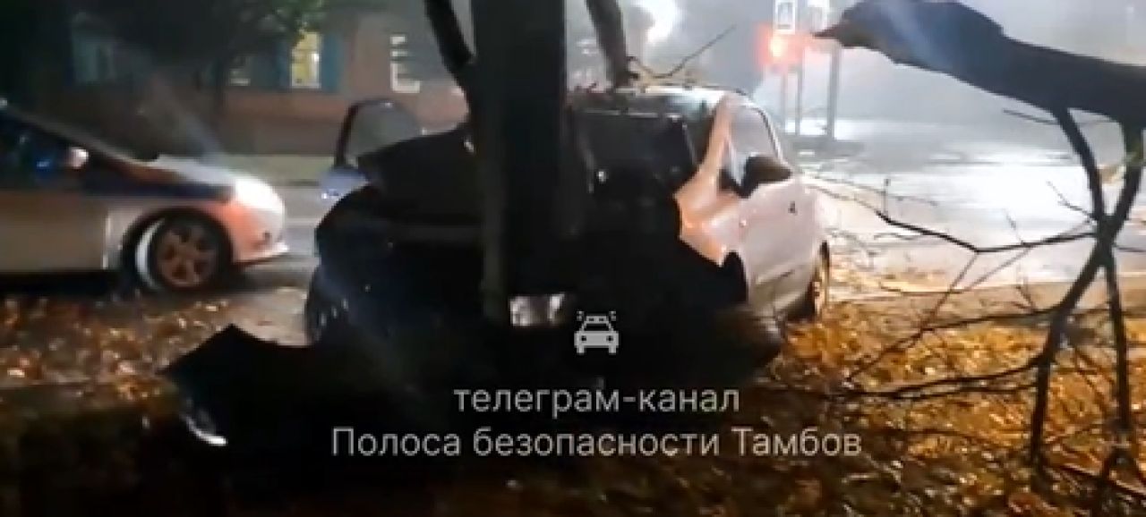 В Тамбове легковушка с пьяным водителем сломала дерево