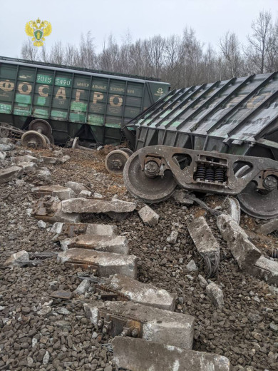 В Рязанской области с рельсов сошли 19 грузовых вагонов