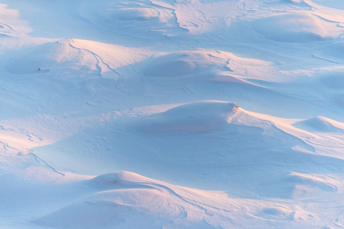 Вторые выходные декабря принесут в Тамбов снег и крепкие морозы