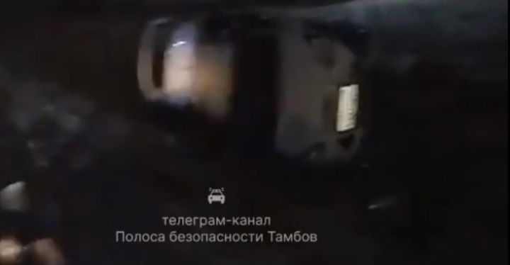 В Тамбовской области автомобилистка вылетела в кювет в попытках объехать перебегающую дорогу кошку