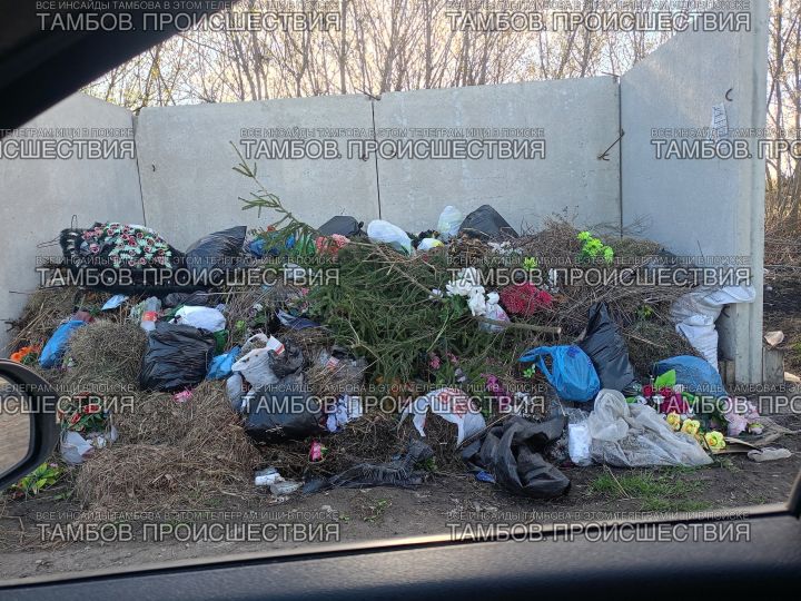 Тамбовчане просят установить контейнеры для мусора на территории кладбищ