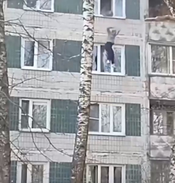 В Дмитрове выпрыгнувших из окна женщину и кошку поймали с помощью пледа