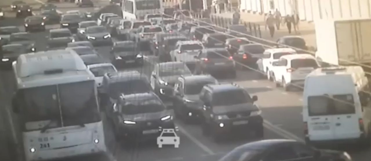 В Тамбове автобусный заяц попал под машину в попытке скрыться на оживленной дороге