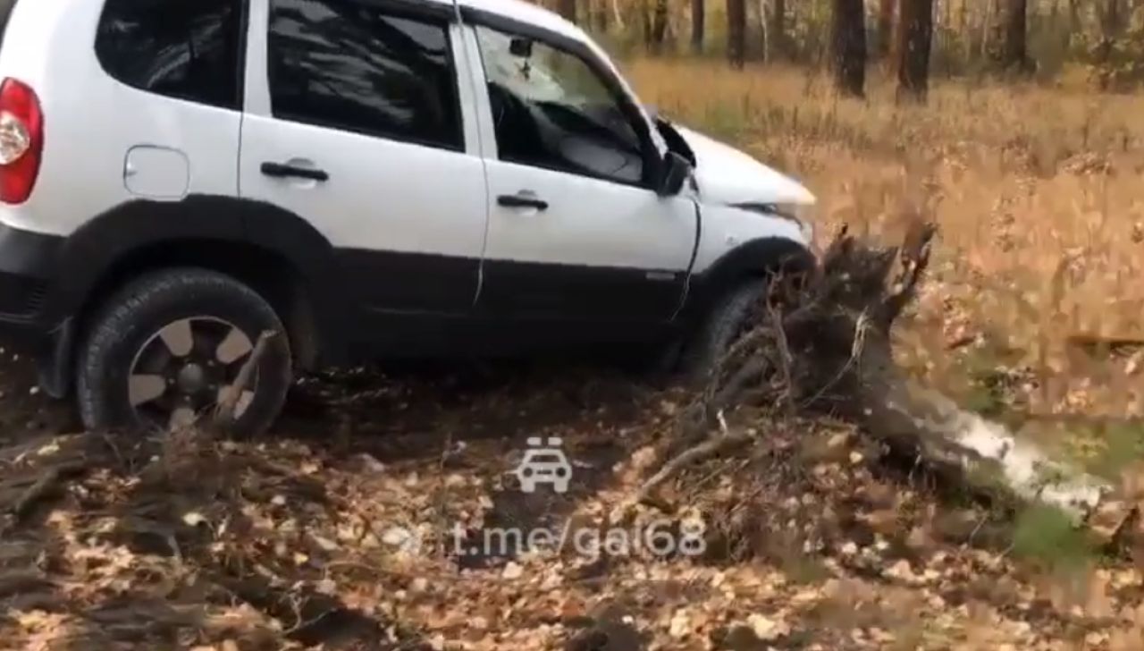В Тамбовской области «Нива» попала в ДТП и вырвала дерево с корнями