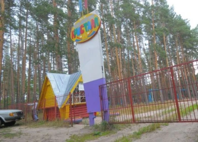 В лагере под Моршанском  погиб 8-летний ребёнок
