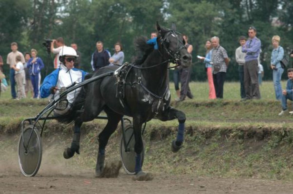 Решая судьбу тамбовского ипподрома, новое столичное начальство долго запрягает, 
а как поедет — ещё вопрос