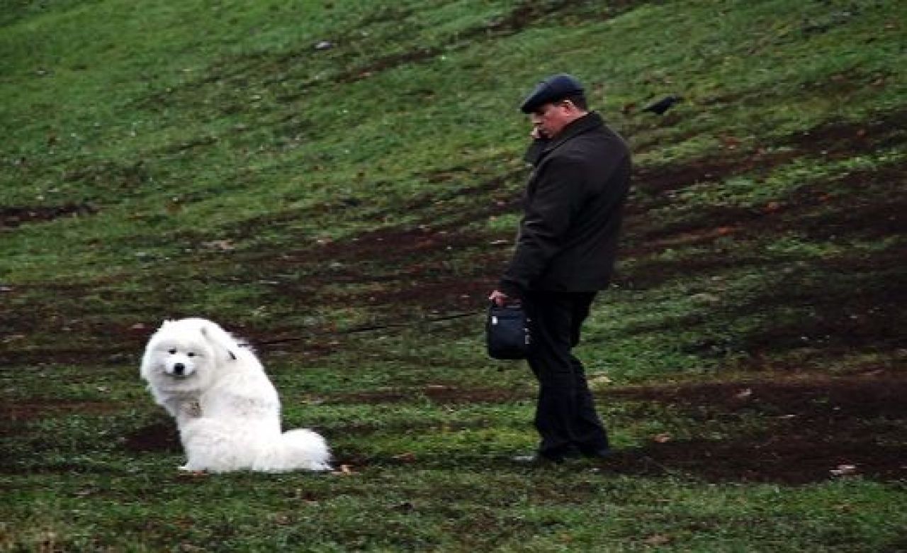 Начало зимы в Тамбове выдалось на редкость теплой