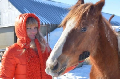 «Лошади — это не еда!»