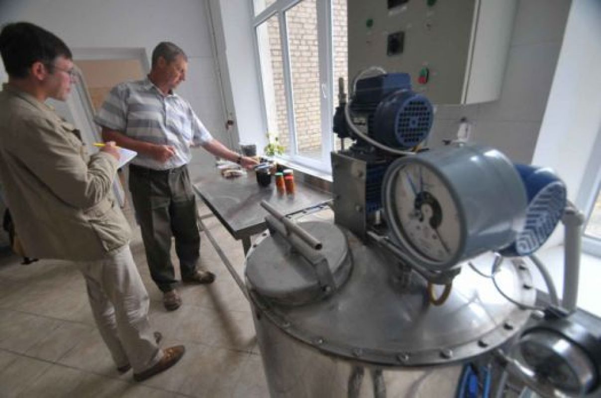 Учёные предлагают их изобретения не только есть в сыром виде, но и готовить, консервировать и комбинировать между собой