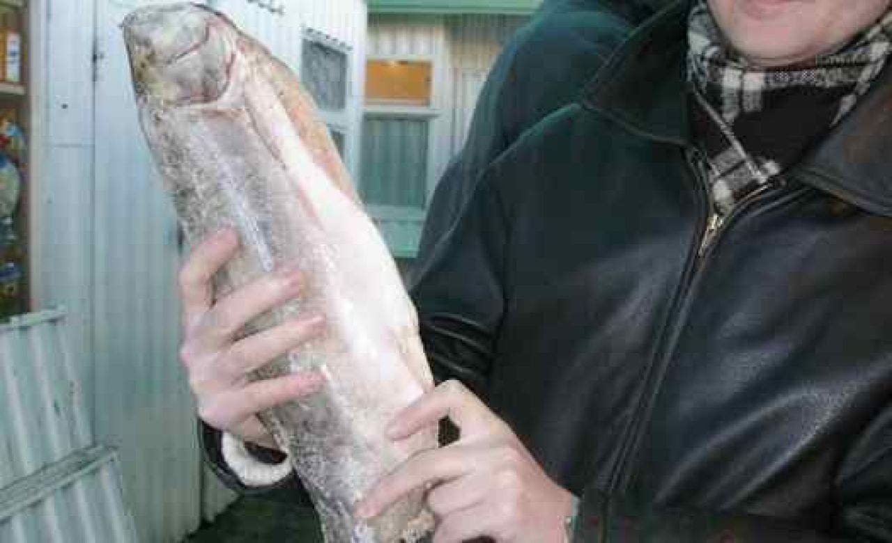 На индивидуального предпринимателя за опасную рыбу наложили административный штраф в три тысячи рублей.