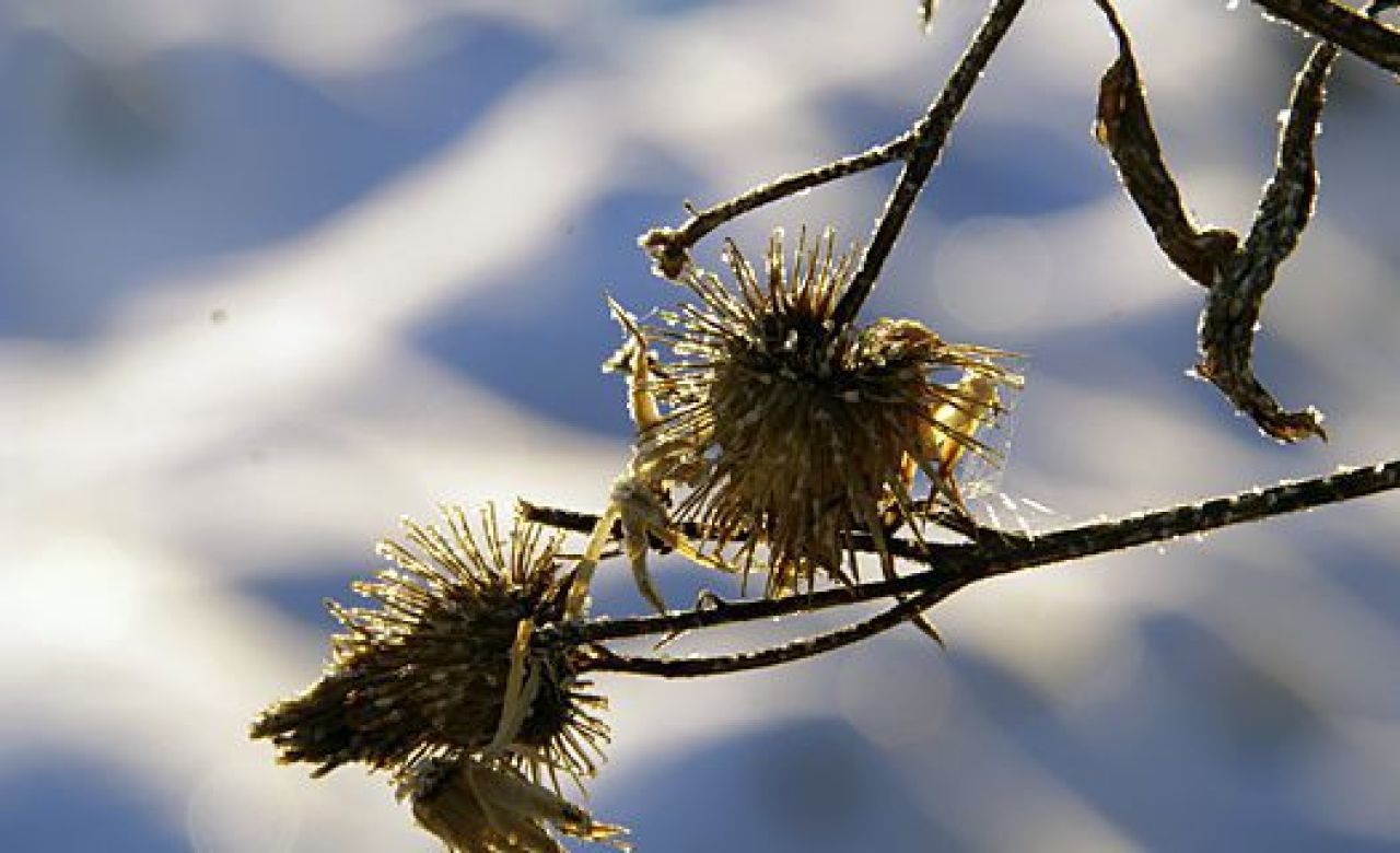 фото из архива "МОЁ!"