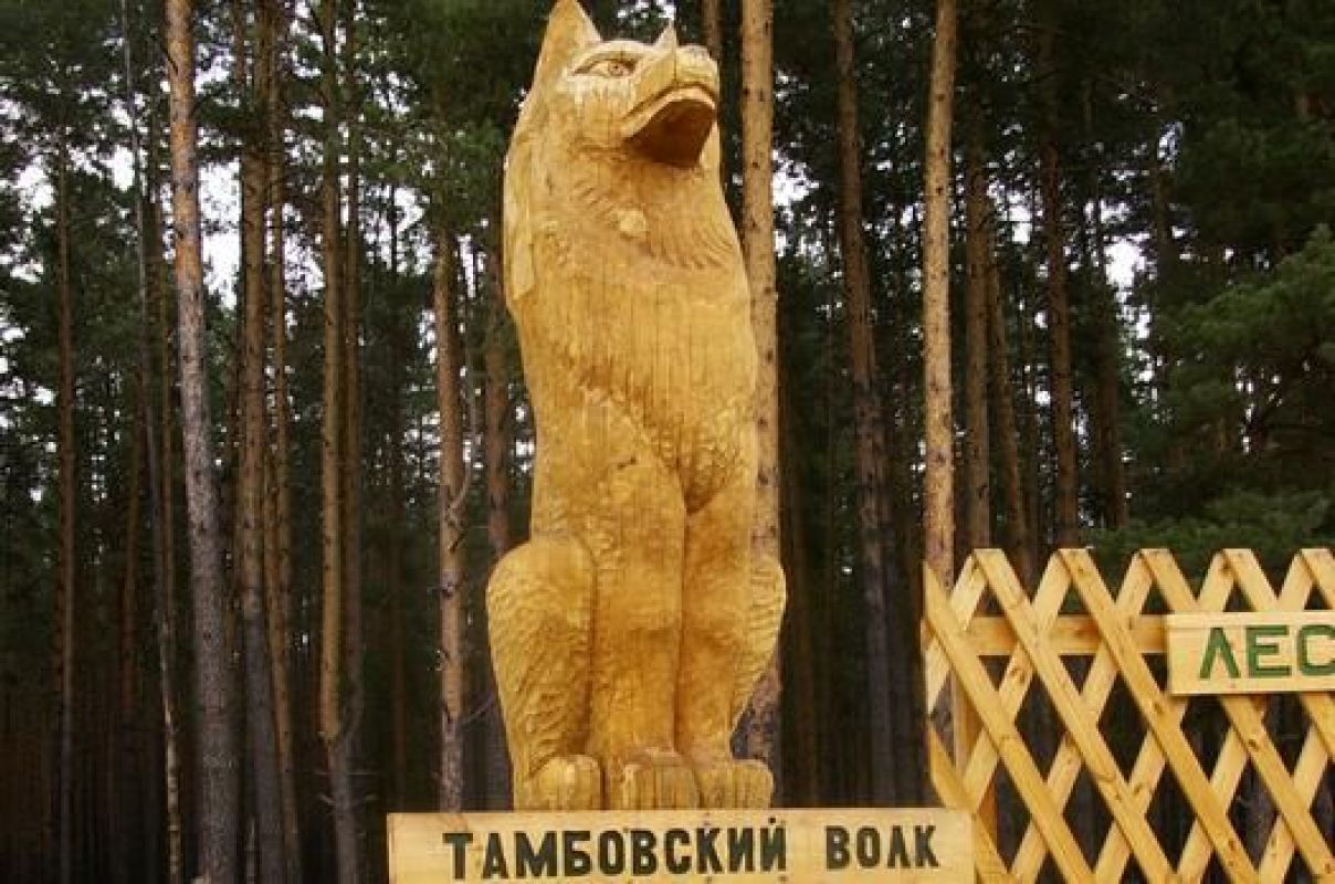 Зарегистрировав исключительное право на бренд предприниматель ограничил право других хозяйствующих субъектов на осуществление сложившейся свободной практики использования выражения «тамбовский волк»