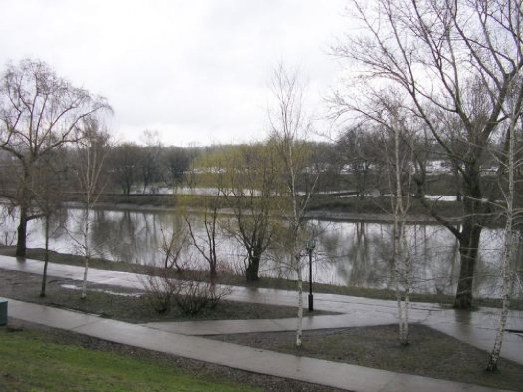 На выходных тамбовчан ожидает снег