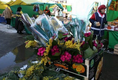 Тамбовский УФАС не будет проводить проверку цен на цветы