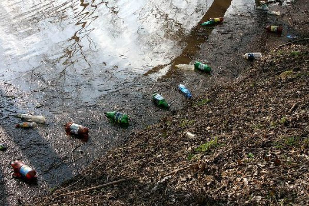 В Тамбове 600 километров рек требуют очистки