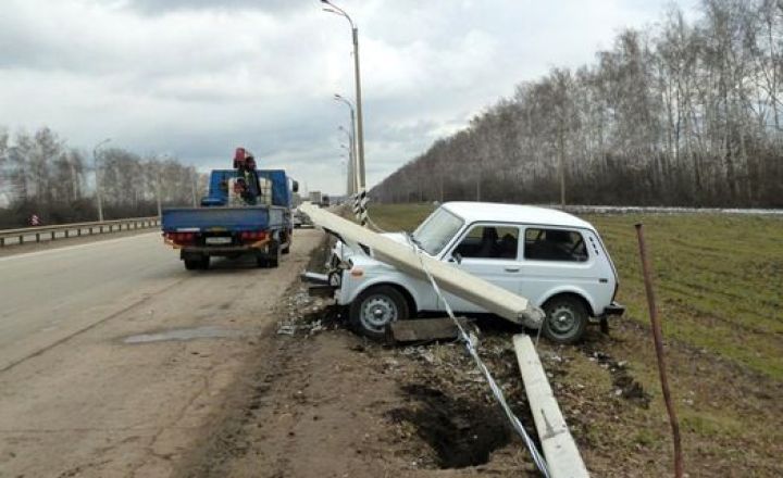 Нива на трассе
