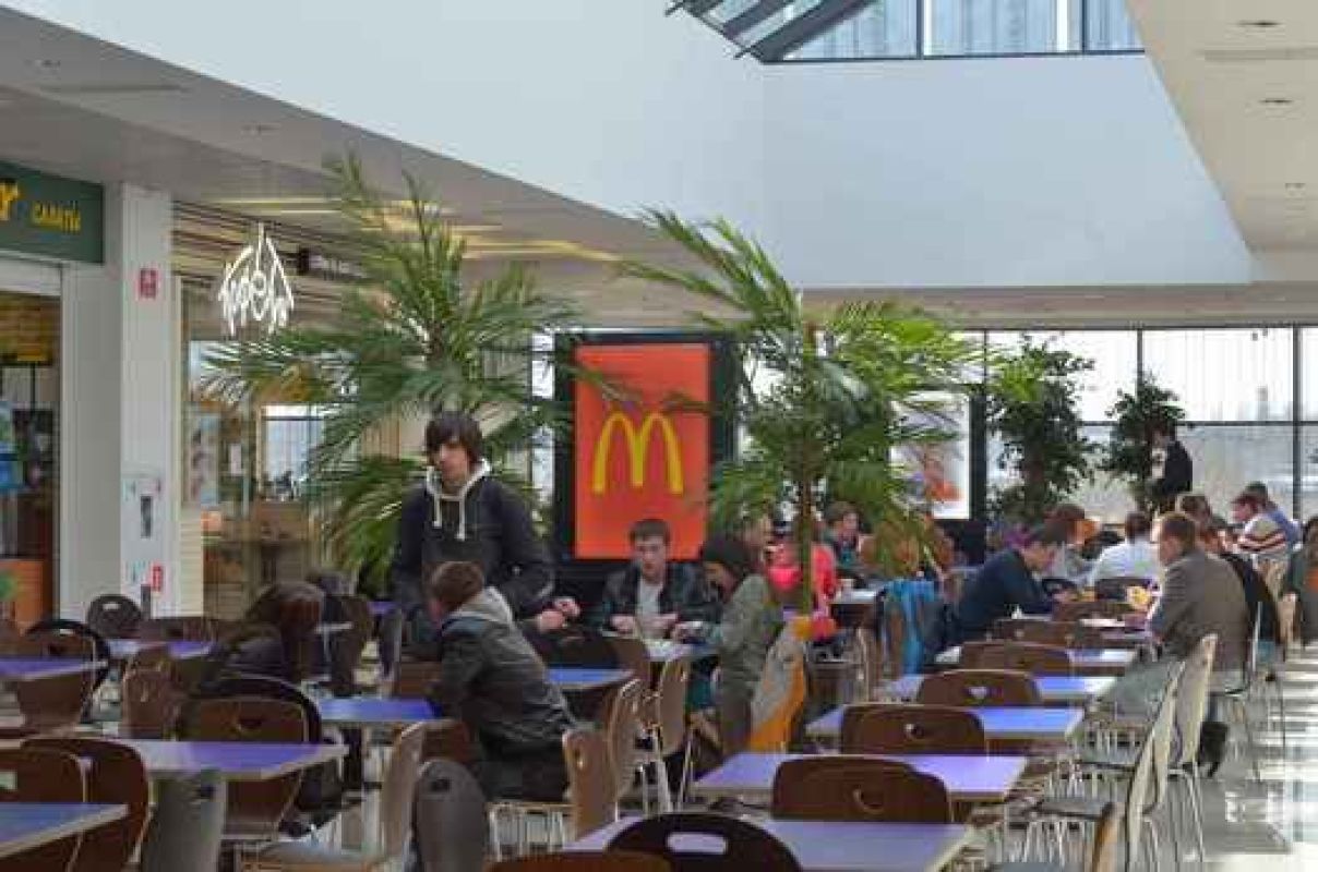 Жители Тамбова протестуют против строительства «Макдоналдса»