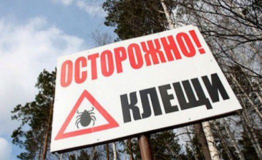 Фото: Дезинфекционная станция Тамбова