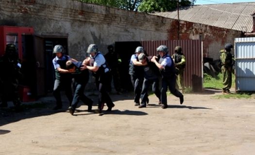 Фото: пресс-служба УМВД России по Тамбовской области