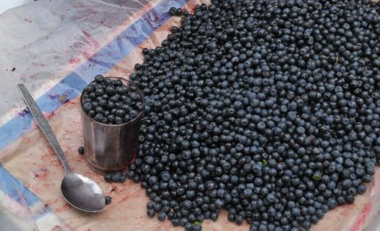 В Москве нашли радиоактивную тамбовскую чернику