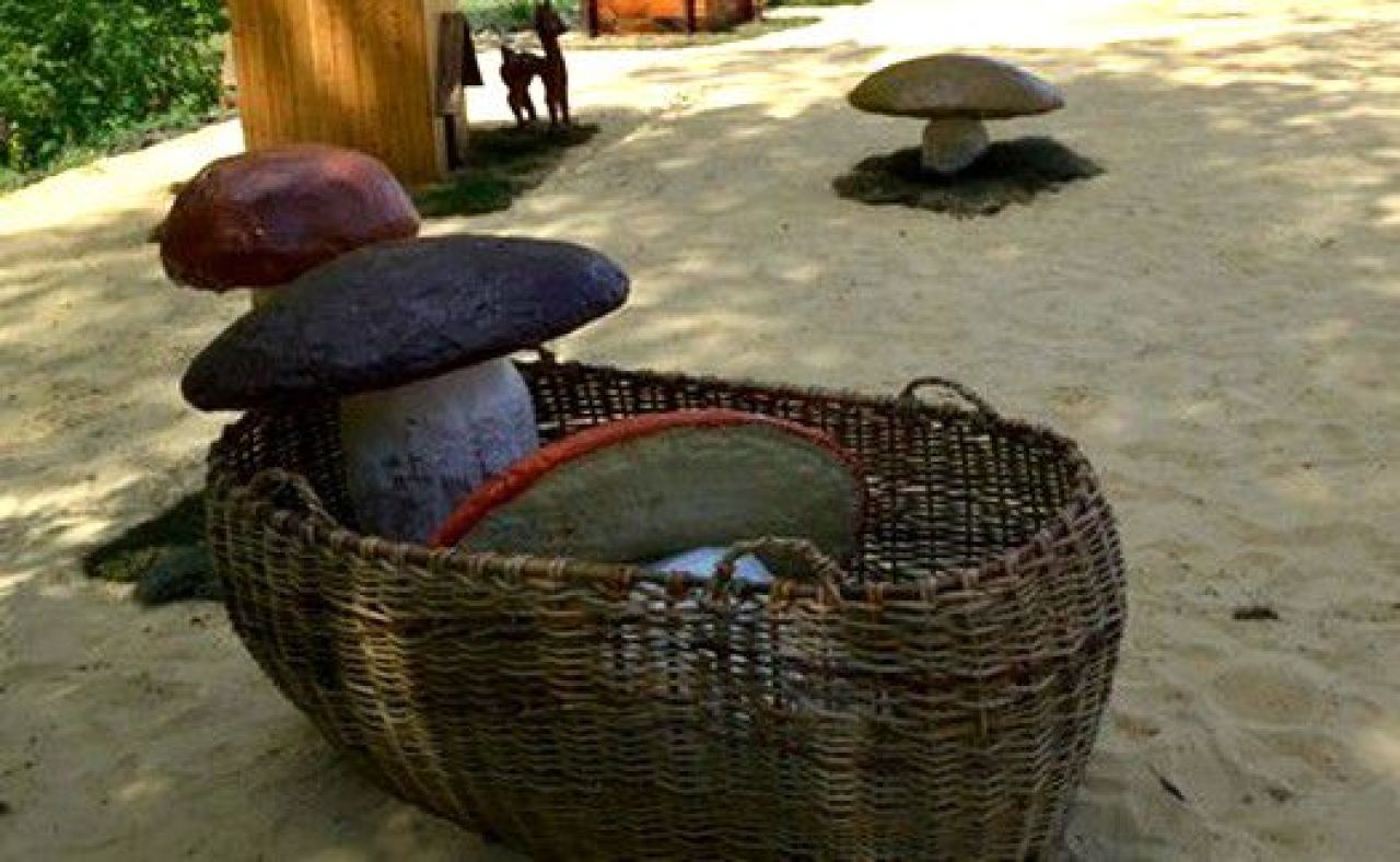 Тамбовчане смогут увидеть чудо-грибы и волшебный колодец