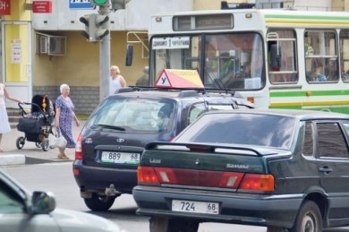 На Тамбовщине из 65 автошкол осталось 9