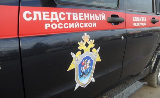 Житель Мичуринского района убил гостя топором
