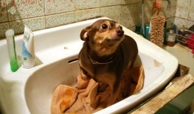 30 тысяч человек к зиме останутся без тепла?