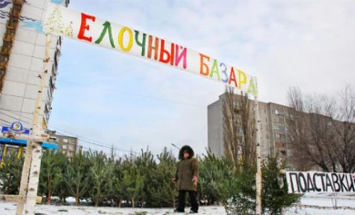 В Тамбове откроется 79 ёлочных базаров (АДРЕСА)