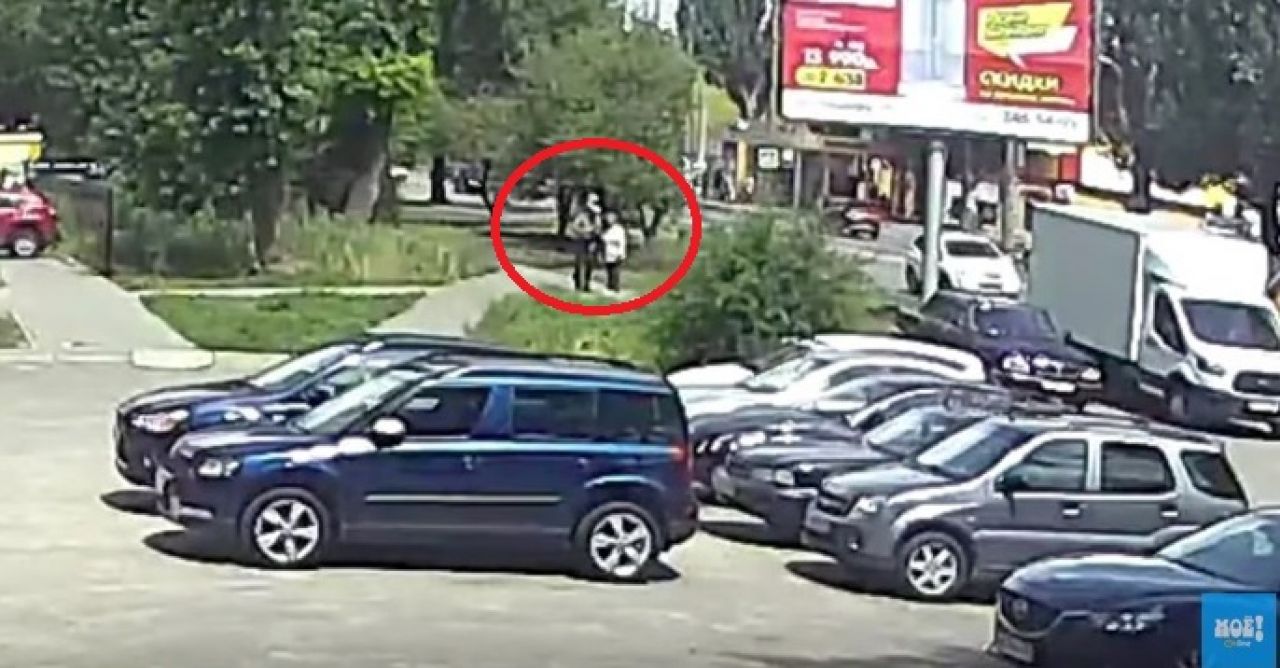 В варанаре паймон нашла рисунок