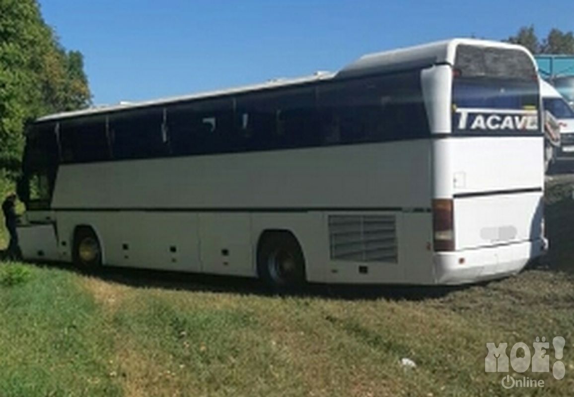 Купить Билет На Автобус Воронеж Курск Официальный
