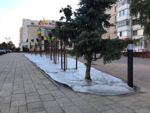 В Белгороде завершают реконструкцию сквера на улице Спортивной